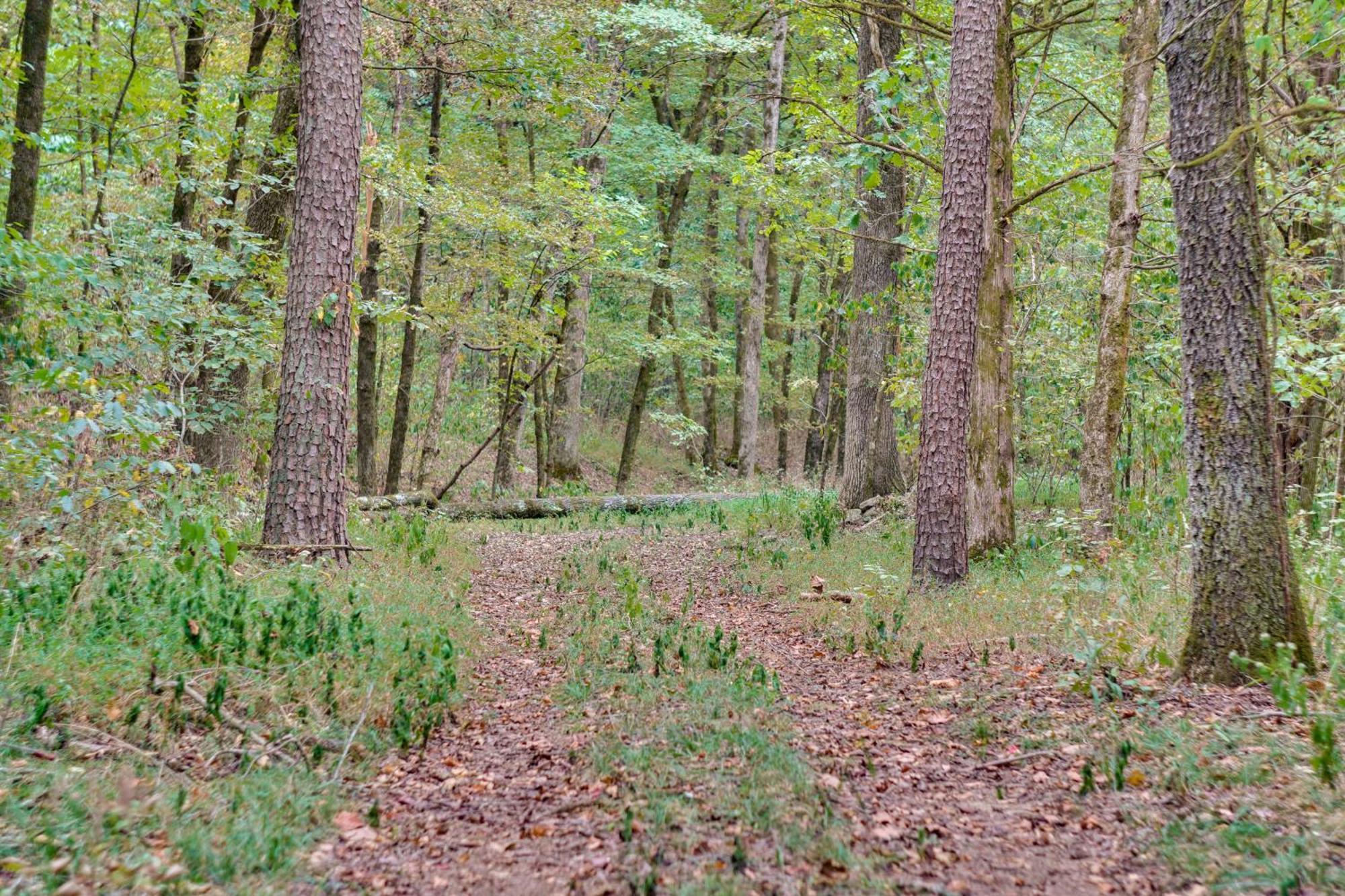 Ozark Mountain Cabin Rental On 300-Acre Ranch ภายนอก รูปภาพ